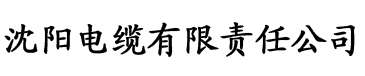 亚洲av爽爽香蕉久久影片电缆厂logo